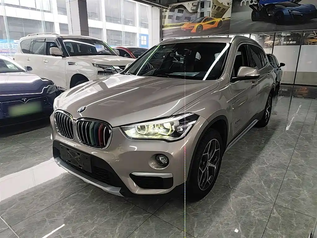 BMW X1 2018 xDrive20Li Premium Model фото 2