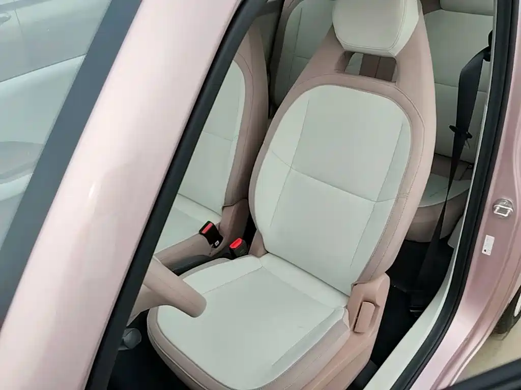 Geely Galaxy Panda 2026 2025 Panda mini 210km Vitality Bear