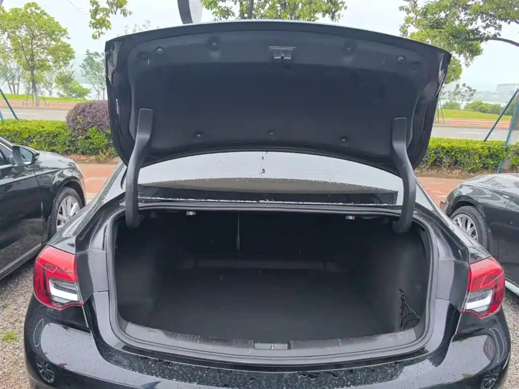 Buick Regal 2020 552T Elite фото 19