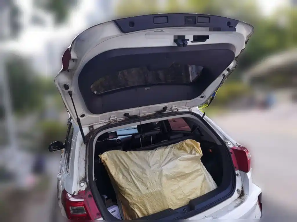 BAIC New Energy EC5 2021 2019 Fresh Air Edition