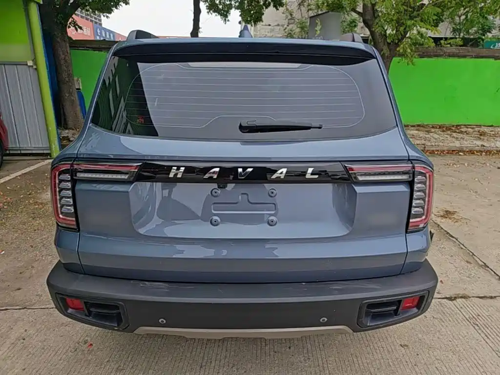 Фото 6 - Haval Dargo