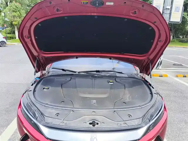 BYD Han 2020 EV AWD High-Performance Flagship — фото 3