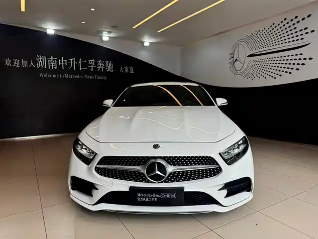 Mercedes-Benz CLS 2021 CLS 300 Luxury — фото 3