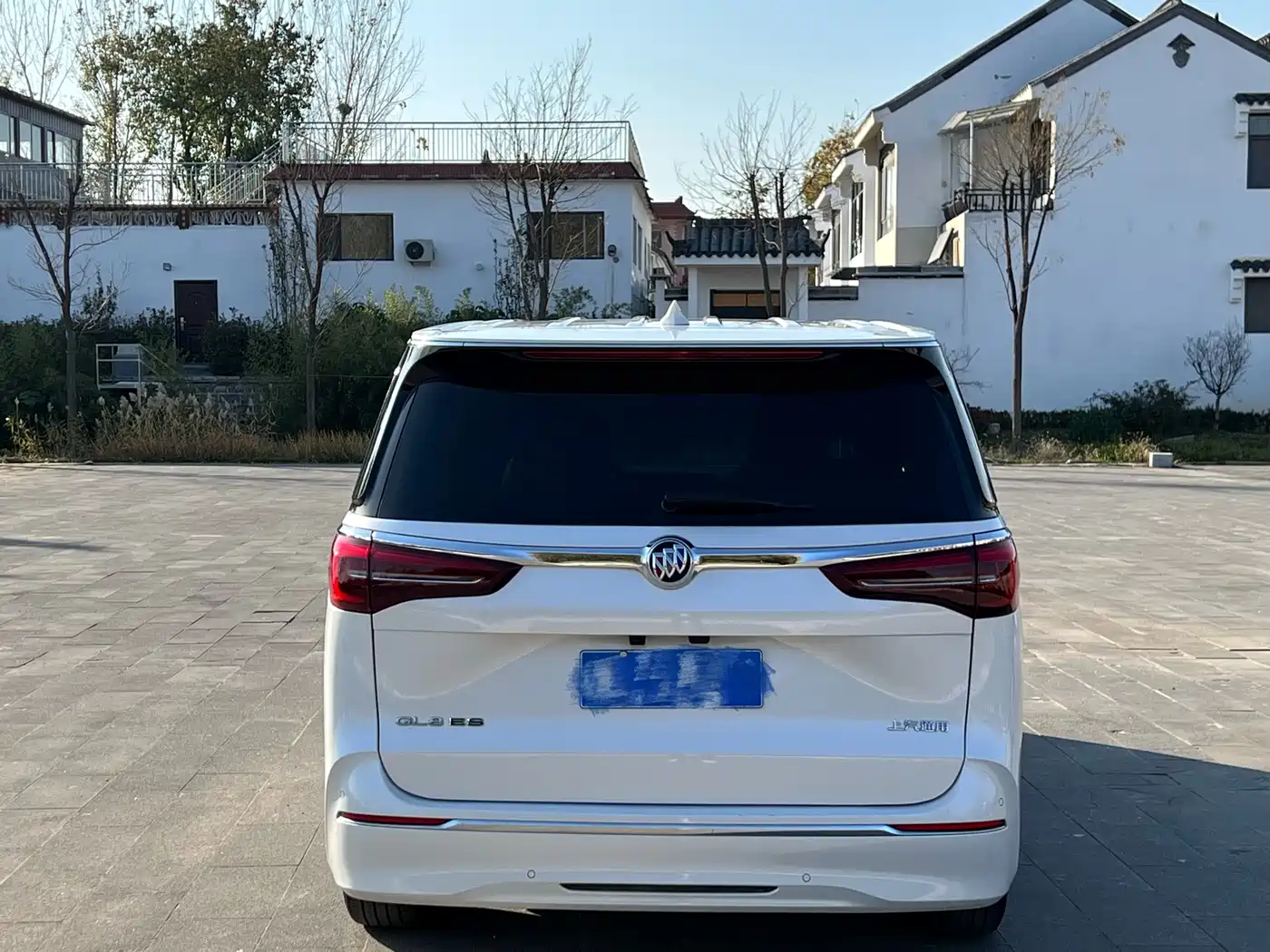 Buick GL8 2023 ES Landmaster Exclusive фото 5