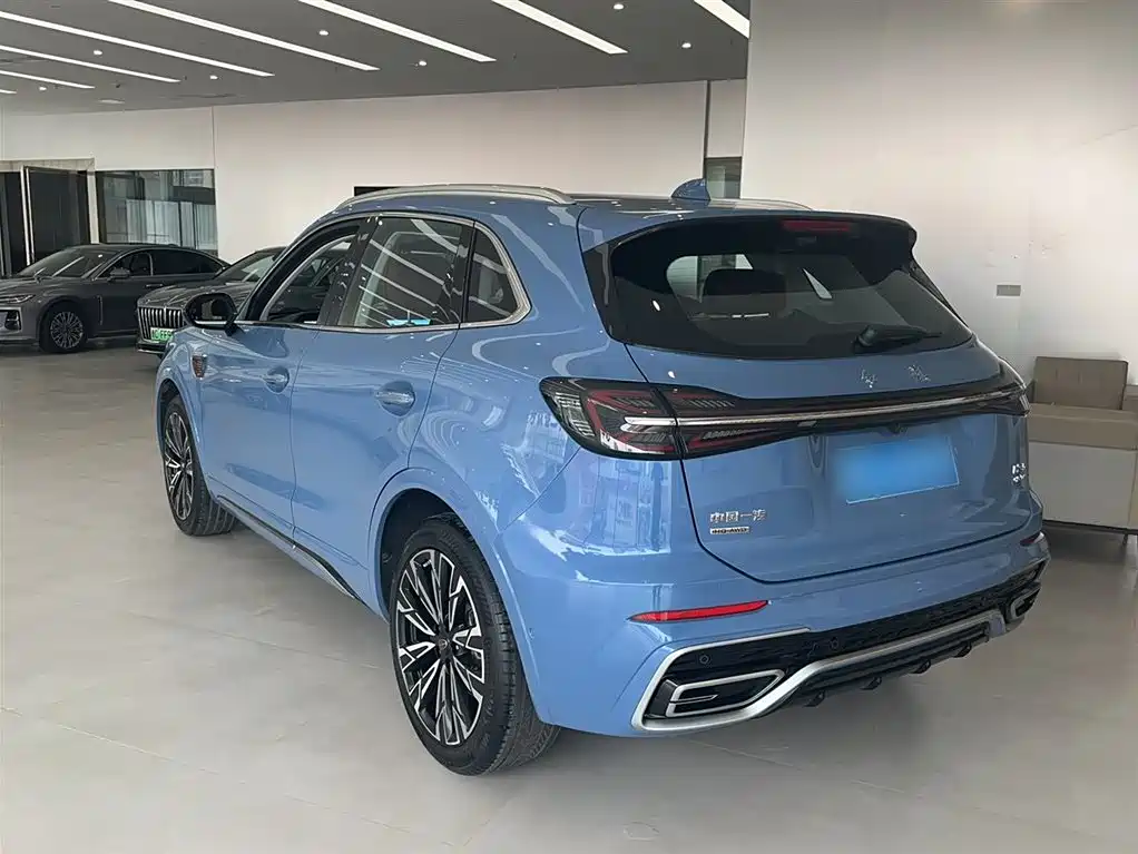 Hongqi HS5 2023 2.0T 4WD Flag Leader Pro фото 12