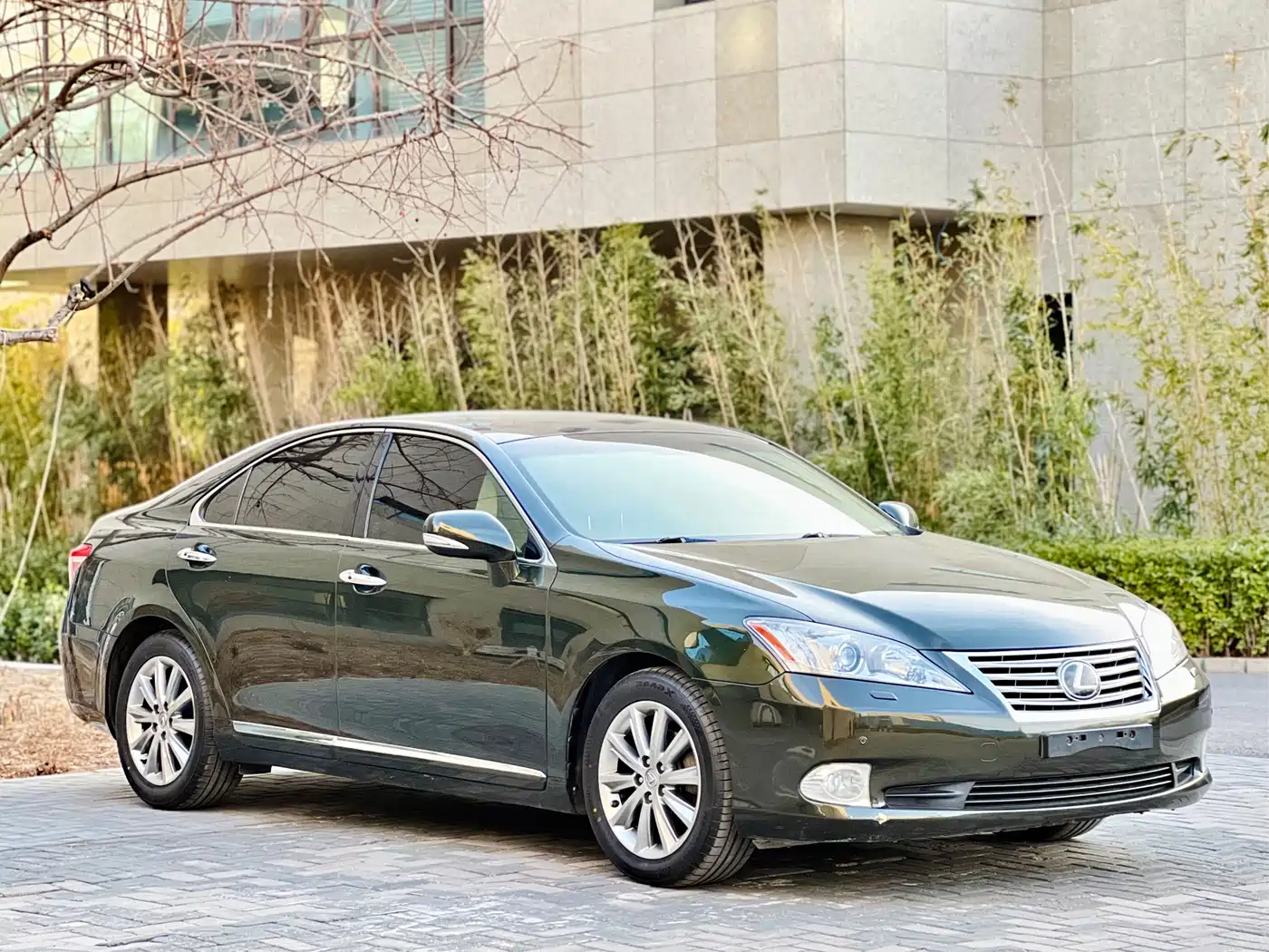Lexus ES 2010 350 Premium Edition фото 3