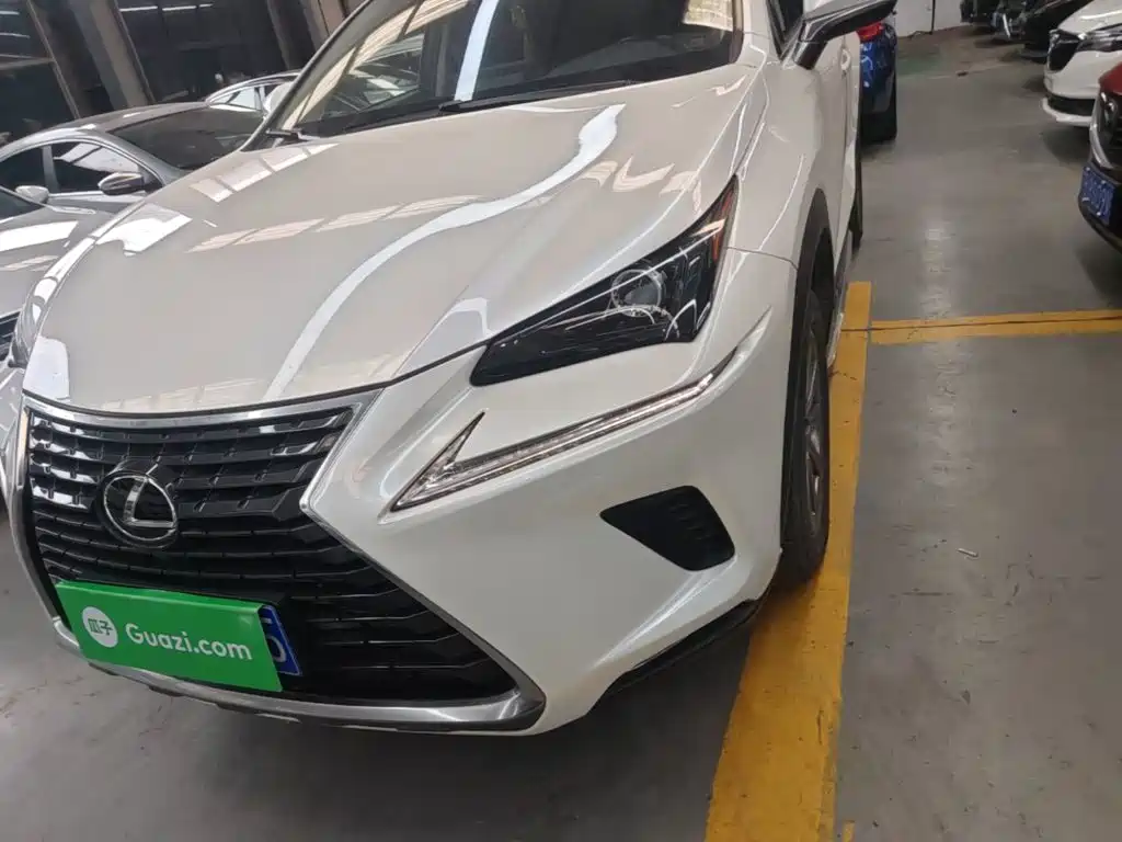 Фото 24 - Lexus NX