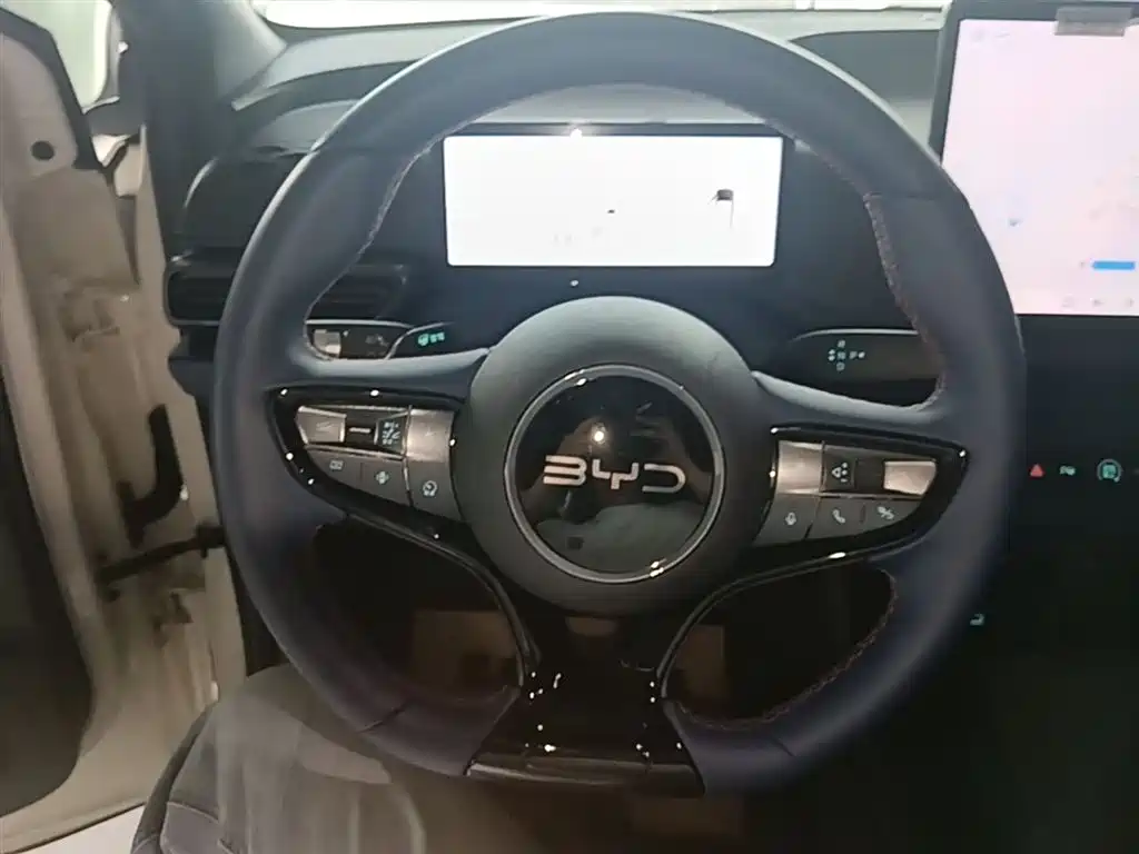 BYD Seagull 2025 Smart Drive Edition 305km Freedom Version фото 11