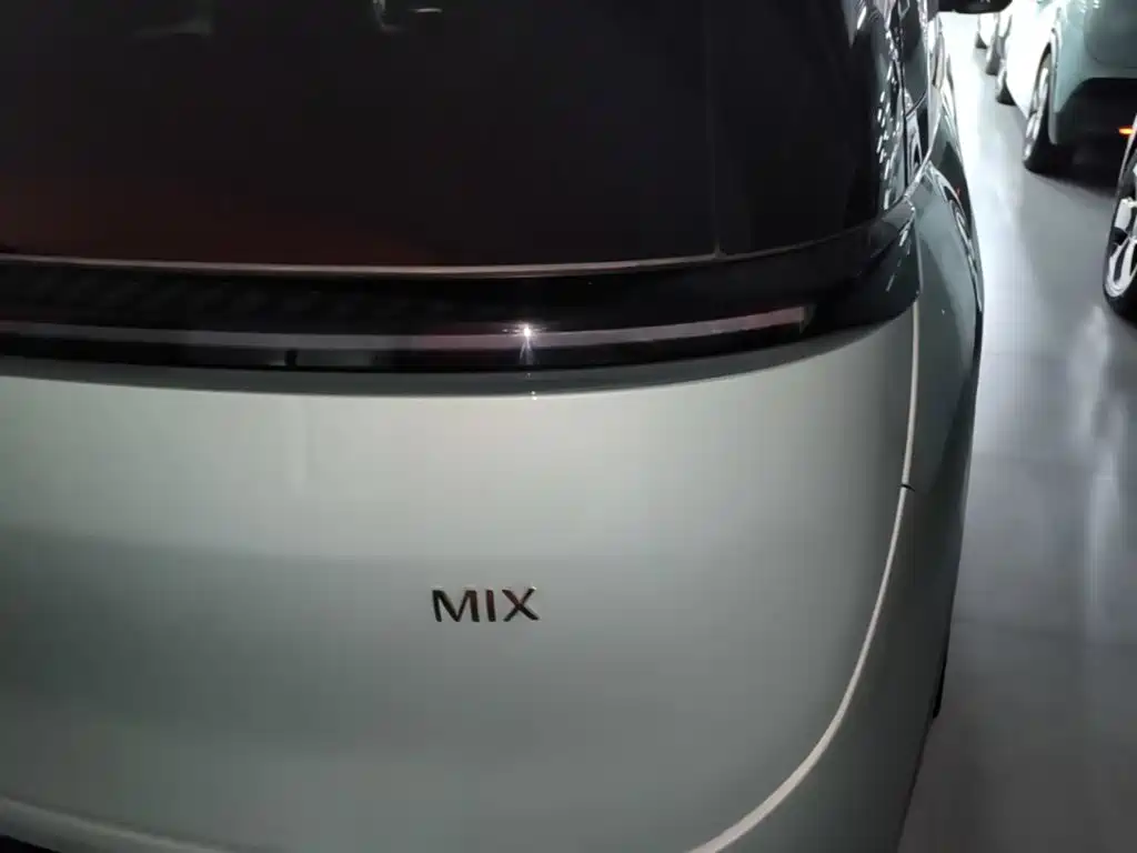 صورة 8 - ZEEKR MIX