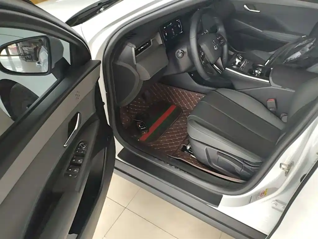 BYD Qin PLUS 2025 DM-i Smart Drive 55KM Leader фото 16