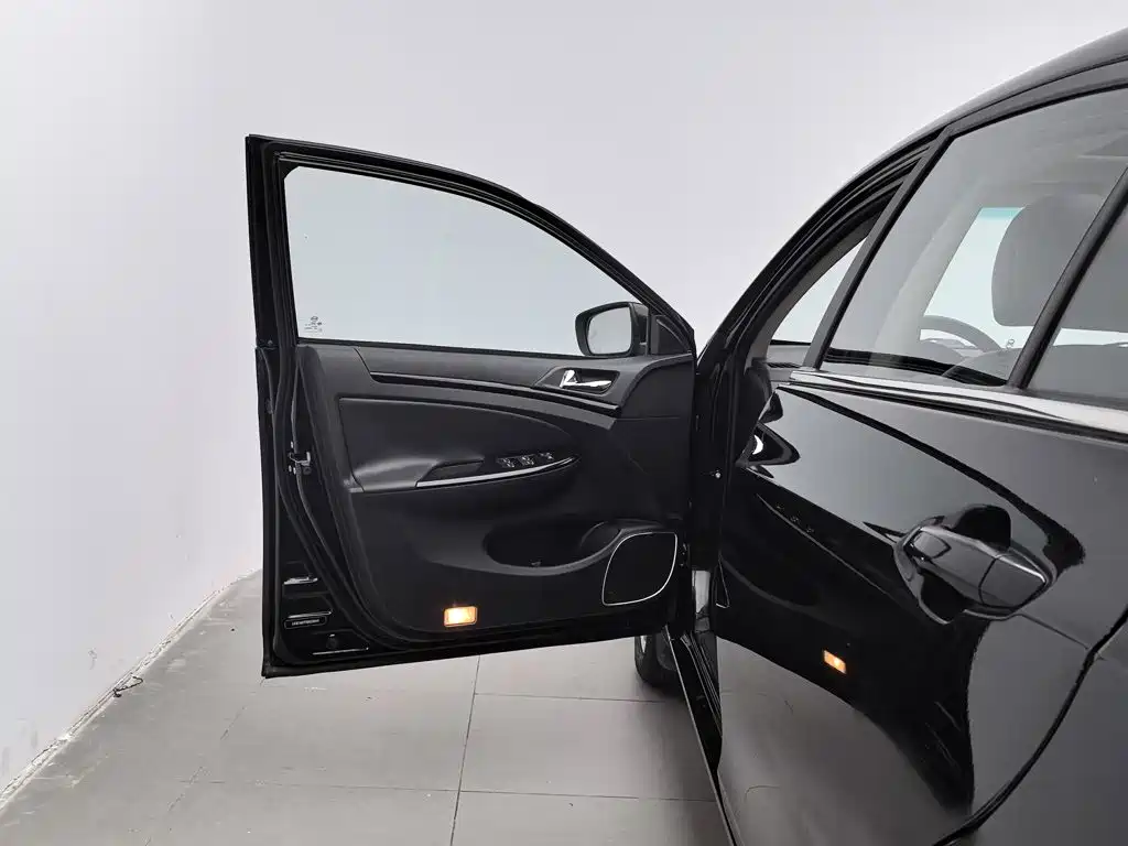 Фото 8 - BYD Surui