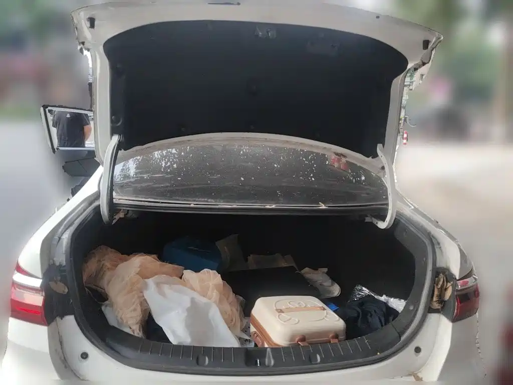 BYD Qin 2020 2019 1.5L Automatic Luxury Edition