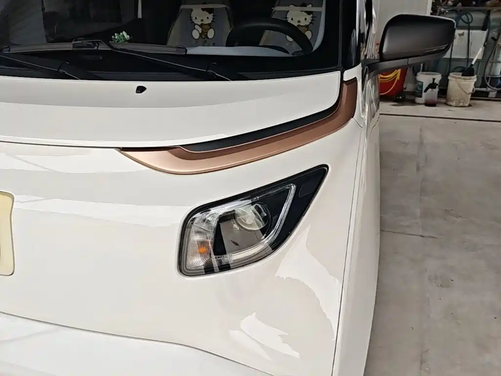 Baojun E200 2020 2020 305KM Smart Edition