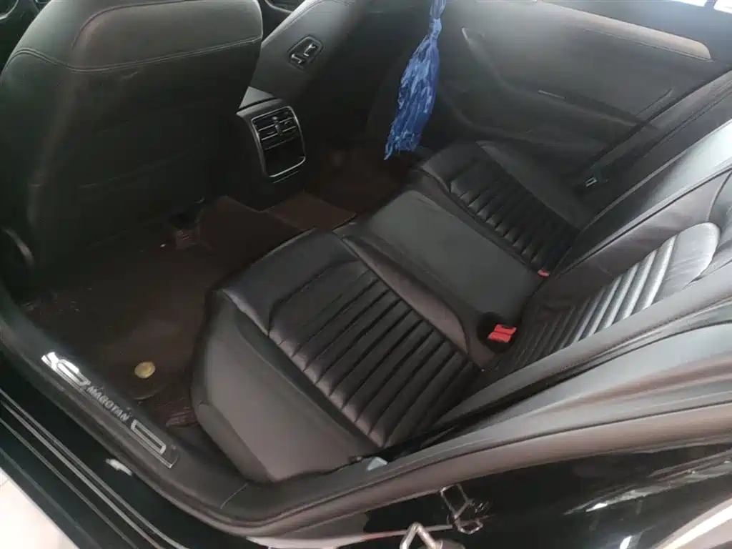 Volkswagen Magotan 2018 330TSI DSG Leading фото 17
