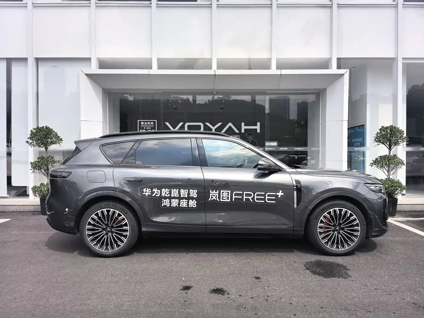 صورة 10 - Voyah Free