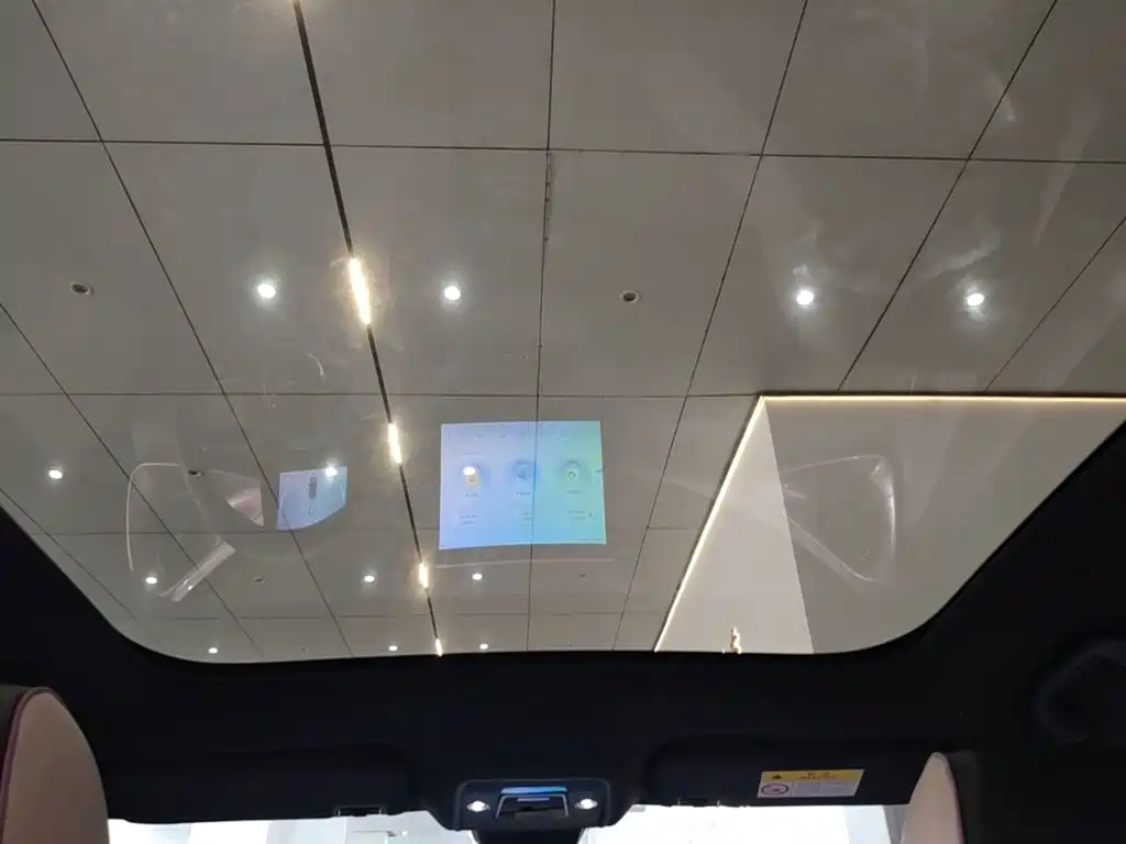 BYD Dolphin 2022 2021 Model 405km Fashion Edition