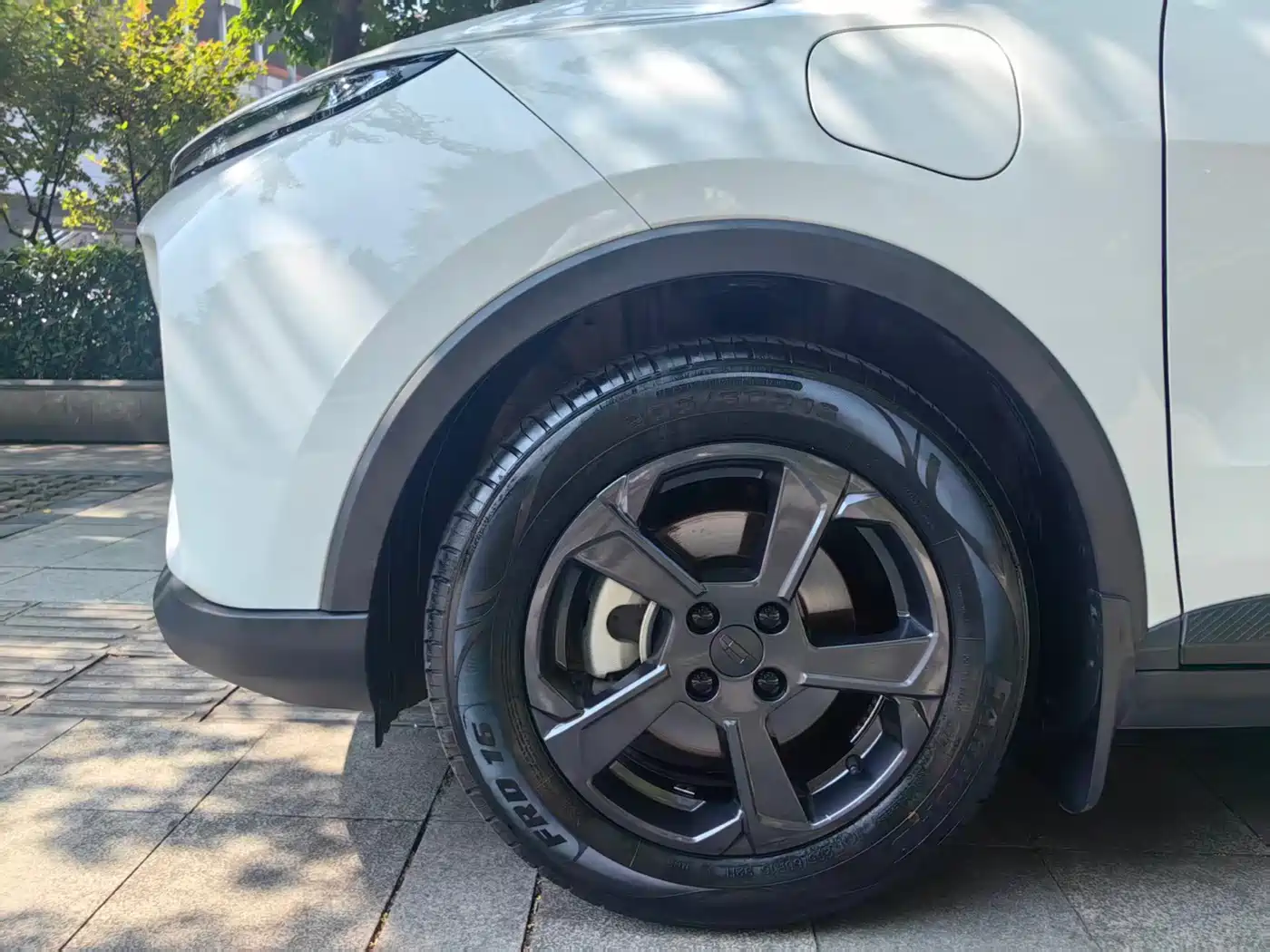 Geely Geometry E Firefly 2024 2023 401KM Thunderbolt Tiger 5-Seater