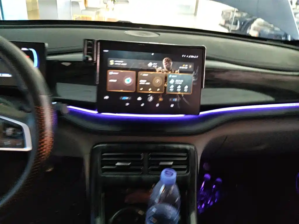 BYD Qin PLUS 2023 Champion Edition DM-i 55KM Leading фото 13