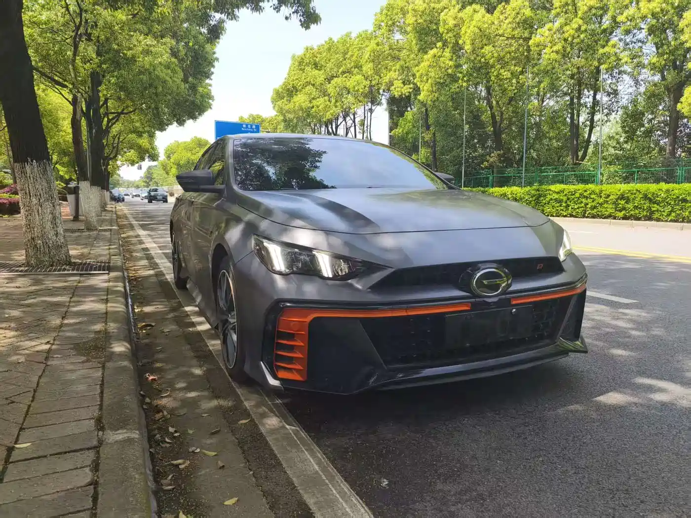 GAC TRUMPCHI SHADOW LEOPARD