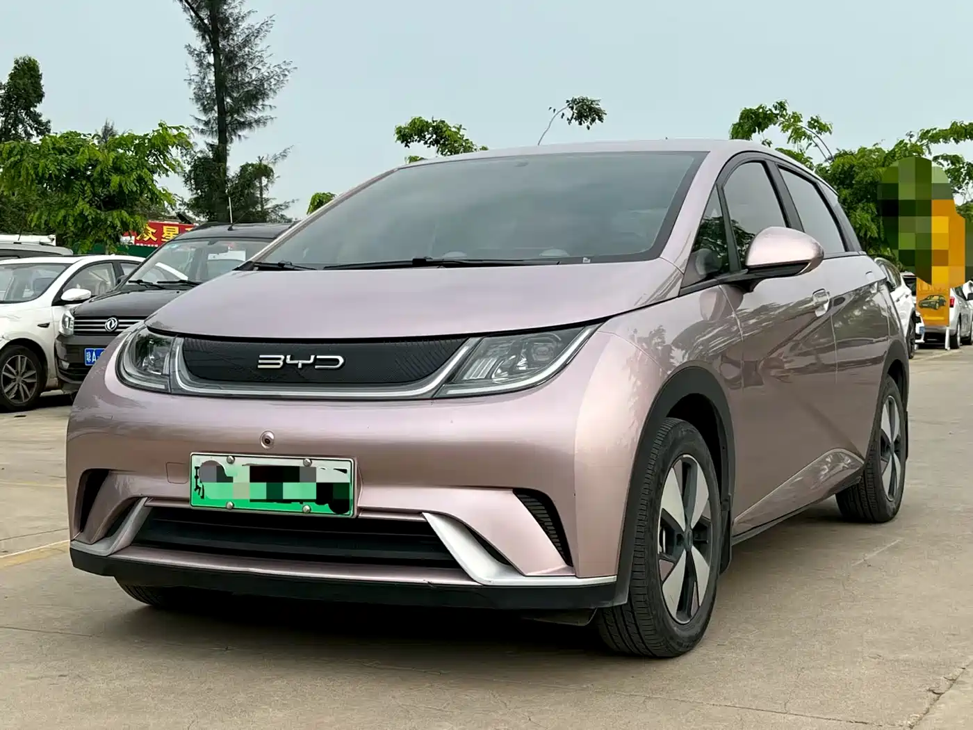 BYD Dolphin 2023 420km Freedom Edition