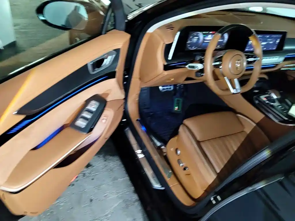 Photo 16 - Hongqi H9