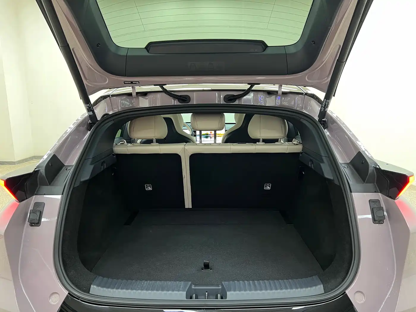 Lynk & Co Z20 2025 2025 530km RWD Max