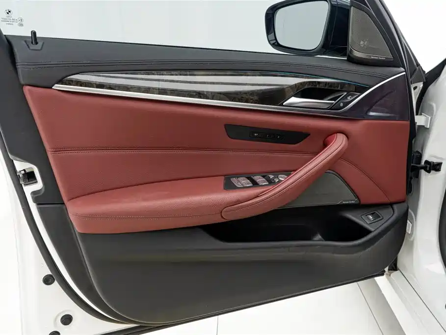 BMW 5 Series 2019 Facelift 530Li Leading M Sport Package фото 18