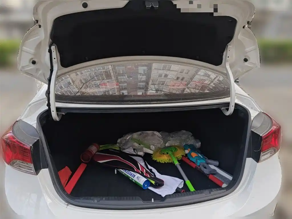 Hyundai Langdong 2015 1.6L Auto Exclusive фото 10