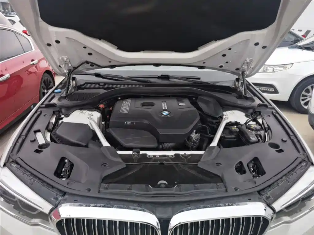 BMW 5 Series 2019 530Li Premium Luxury Package фото 20