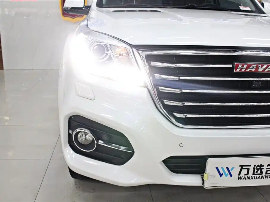HAVAL H9