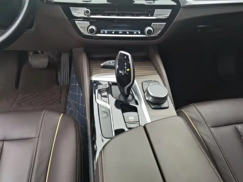 BMW 5 Series 2019 530Li Premium Luxury Package фото 14