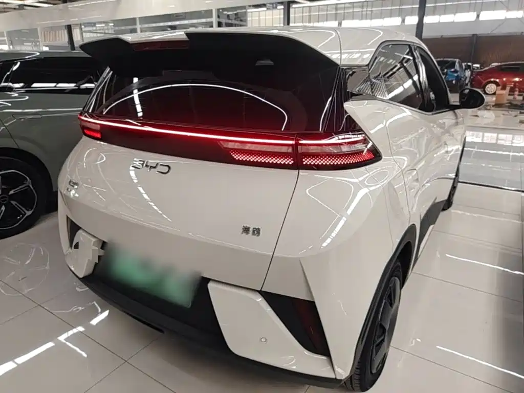 BYD Seagull 2026 2025 Smart Drive Edition 305km Vitality Version
