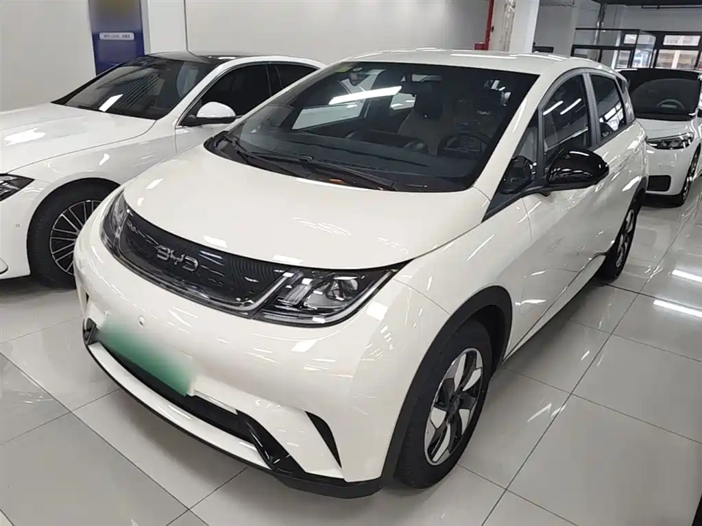 BYD Dolphin 2025 420km Freedom Edition фото 2