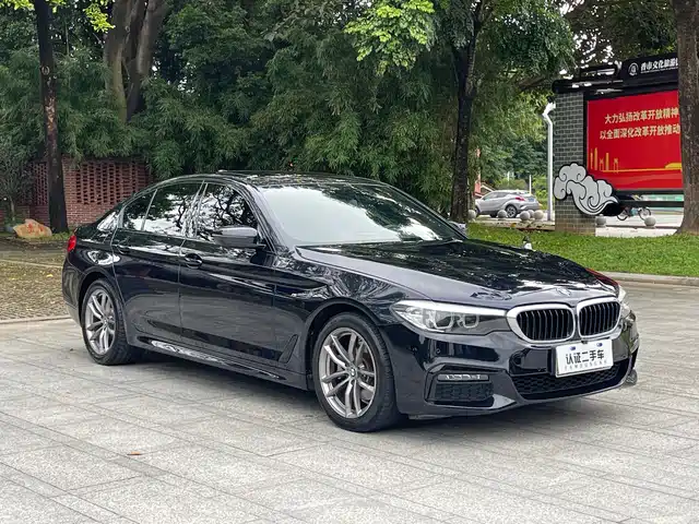 BMW 5 Series (Import) 2019 525i M Sport Package — фото 3