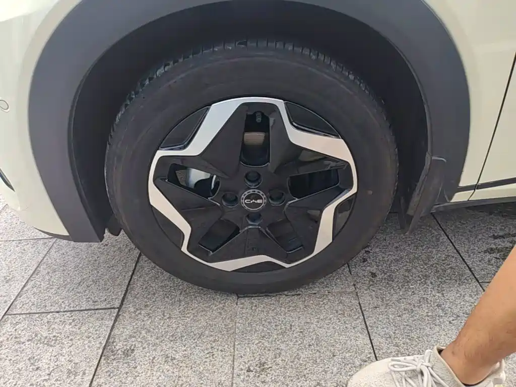 BYD Dolphin 2025 2025 Smart Drive Edition 420km Freedom Version