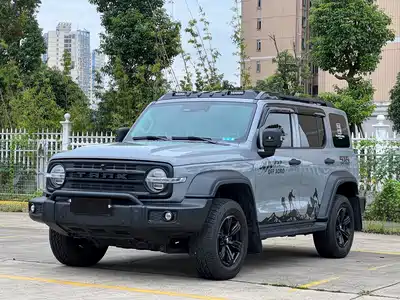 Tank 300