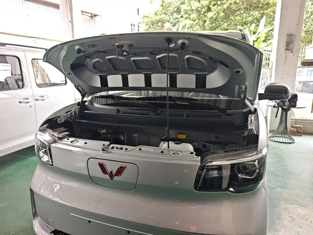 Wuling Motors Wuling Zhiguang NEV 2026 2025 Model 305km Base Version