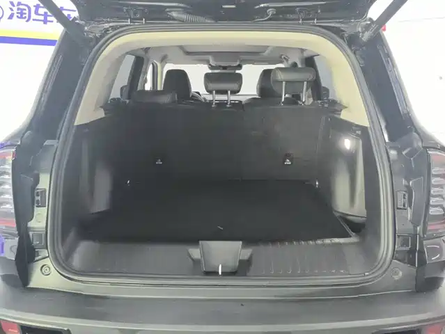 Haval Big Dog 2024 1.5T DCT Border Collie Edition — фото 4