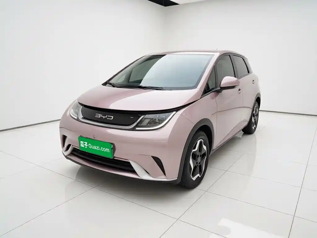 BYD Dolphin 2021 405km Freedom Edition