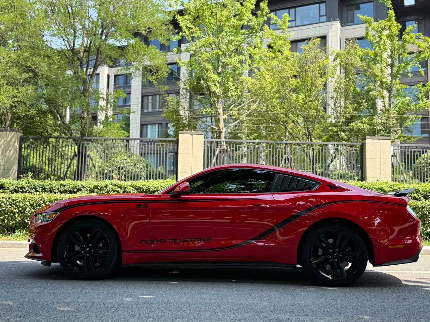 Ford Mustang 2015 2015 2.3T 50th Anniversary Edition