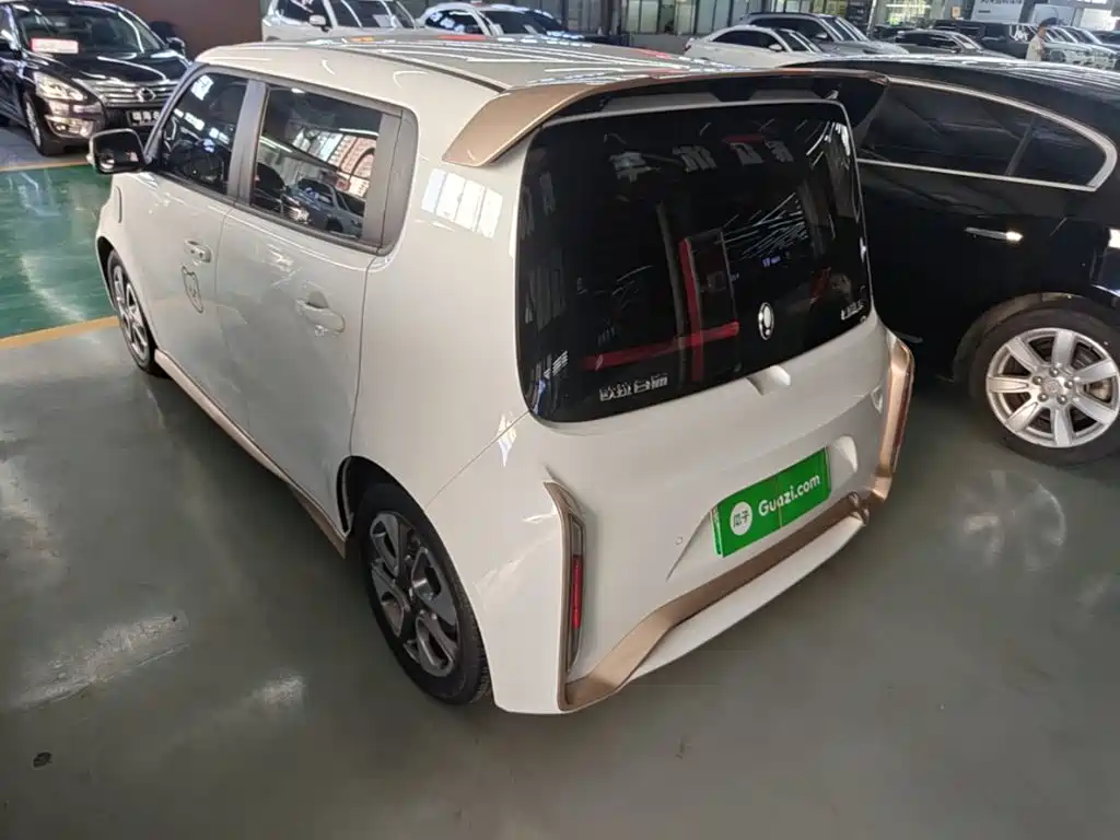 Ora White Cat 2021 2020 360km Luxury Model