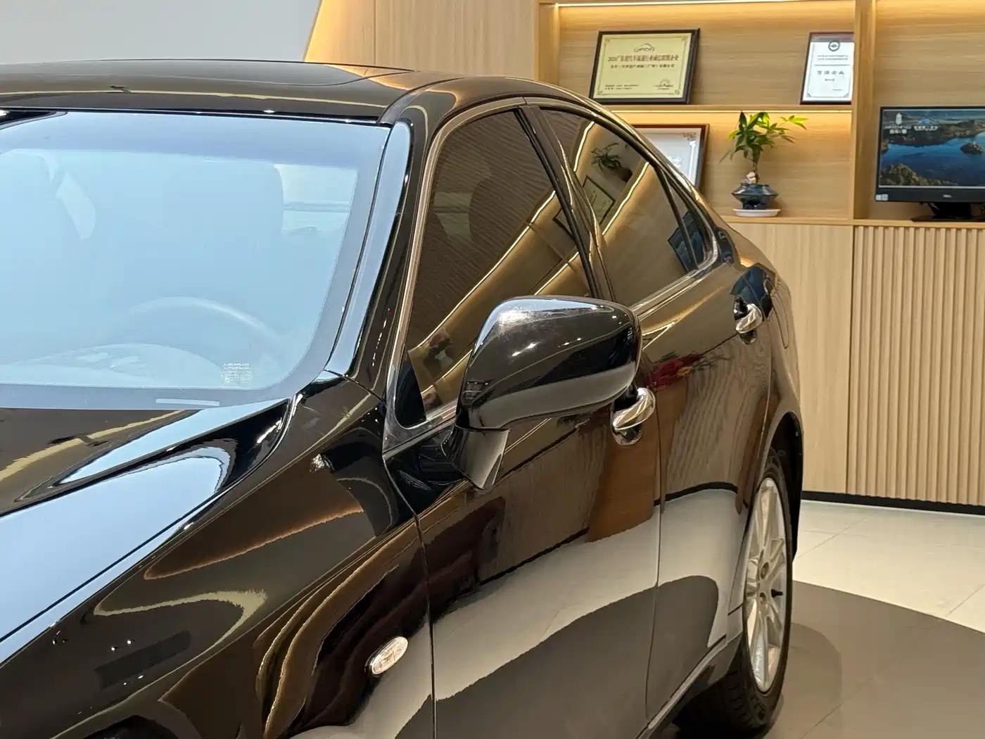 Lexus ES 2010 350 Luxury Edition фото 18