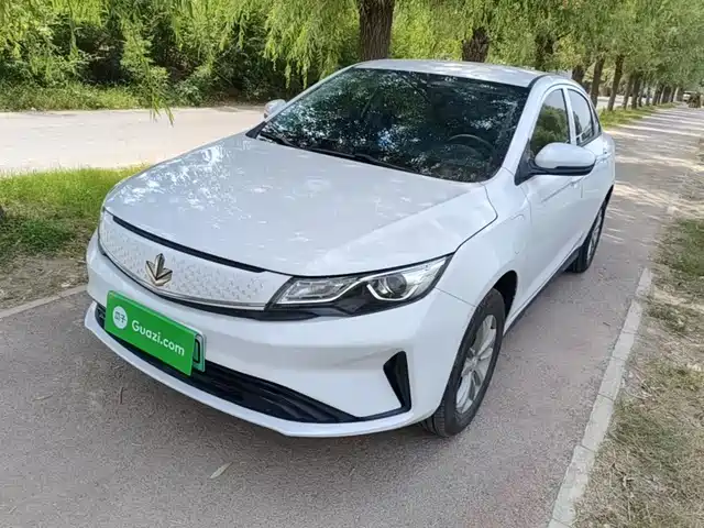 Ruilan Maple 60s 幸福定制 整车 出租车专用版
