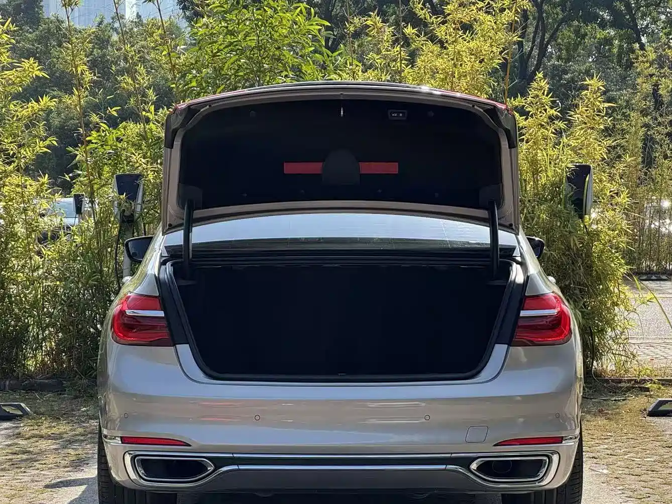BMW 7 Series 2018 730Li Premium Type Excellence Package фото 15