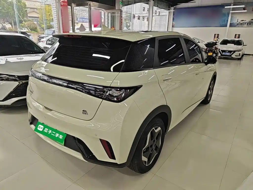 Photo 7 - BYD Dolphin