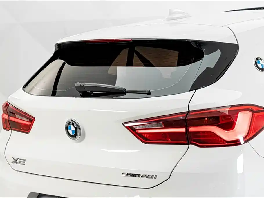 BMW X2 (Import) 2019 sDrive20i M Off-Road Package China VI фото 8