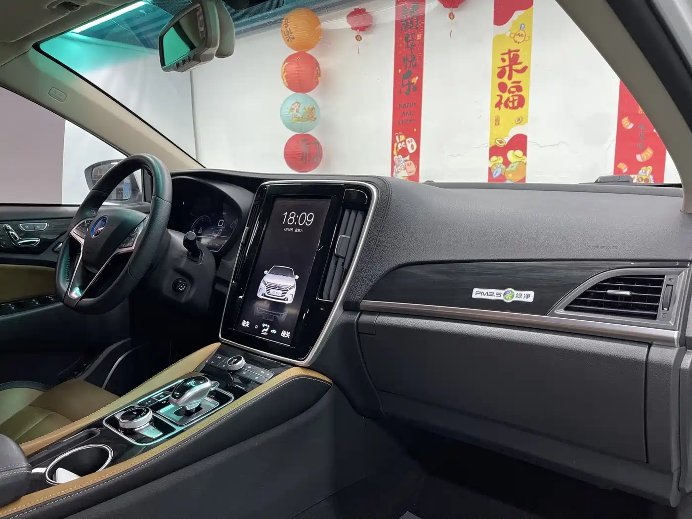 BYD Qin New Energy 2018 Qin EV450 Smart Connected Premium Edition фото 21