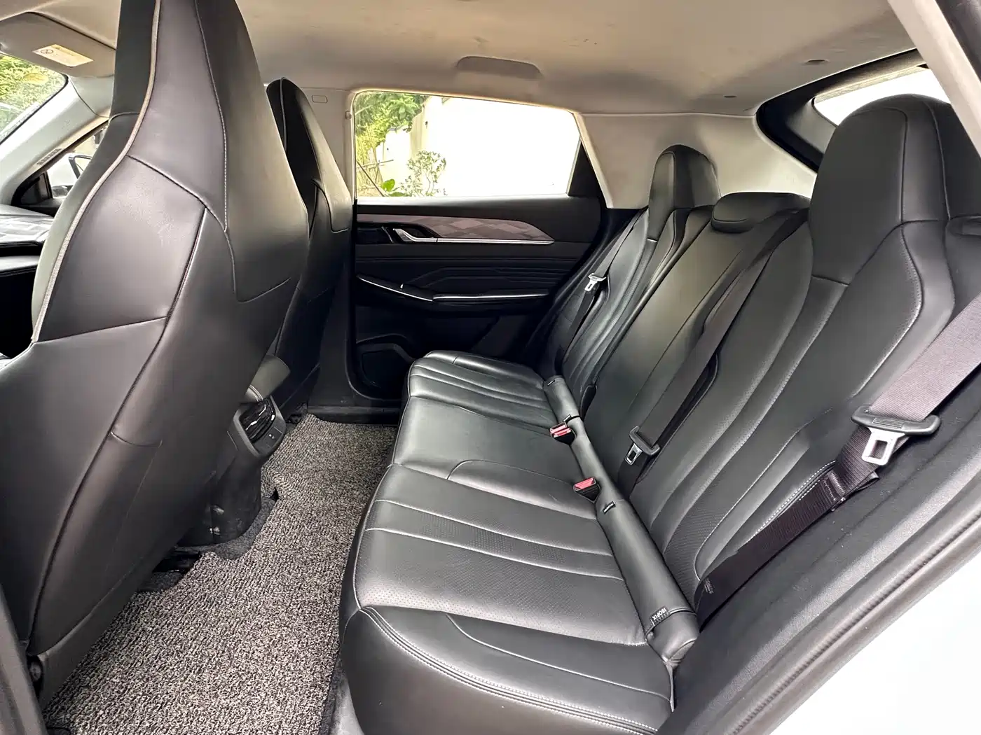 Dongfeng Aeolus SKY EV01 2024 2024 445km PRO