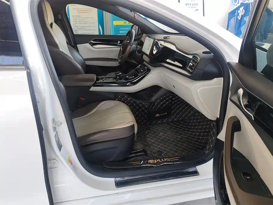 BYD Qin PLUS 2024 Glory Edition EV 420KM Leading фото 8
