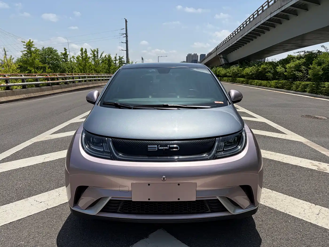 BYD Dolphin 2021 Model 405km Fashion Edition фото 2